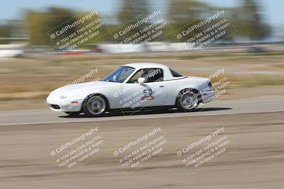 media/Oct-04-2025-OnGrid (Sat) [[44bd565ffa]]/Purple Group/Grapevine/